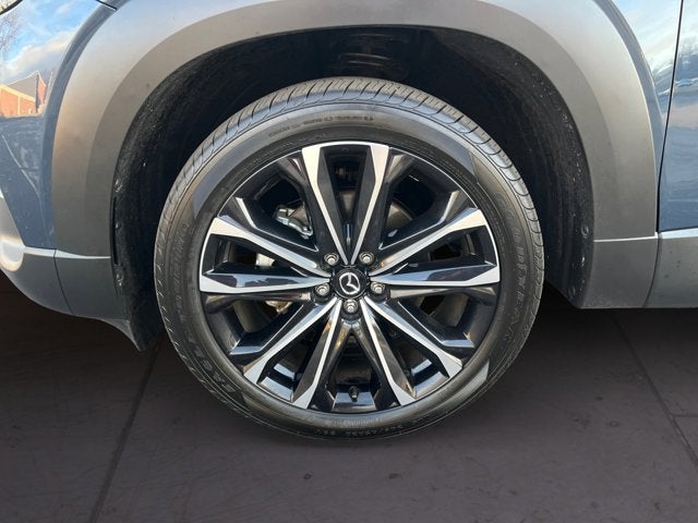 2025 Mazda Mazda CX-50 2.5 S Premium Plus Package